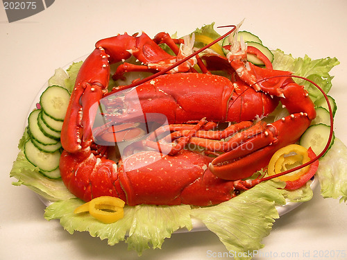 Image of lobster