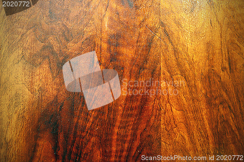 Image of beautiful oak plywood