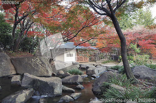 Image of Japanese garden