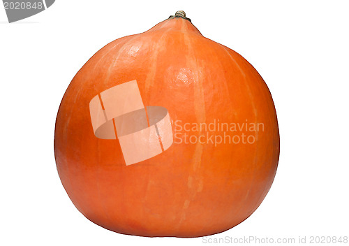 Image of Isolated pumpkin on white