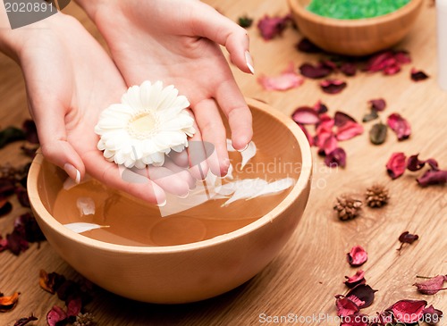 Image of Spa.Woman's Hands with flower