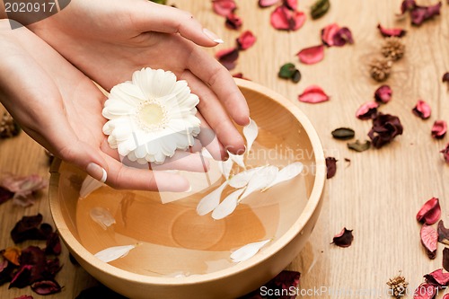 Image of Spa.Woman's Hands with flower
