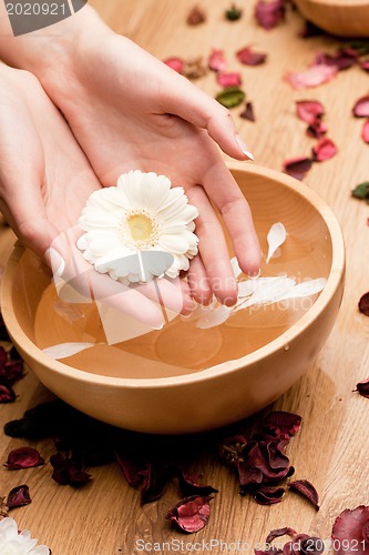 Image of Spa.Woman's Hands with flower