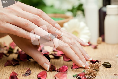 Image of Spa hands
