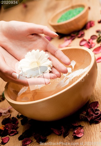 Image of Spa.Woman's Hands with flower