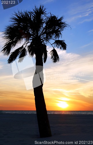 Image of Beach Sunset