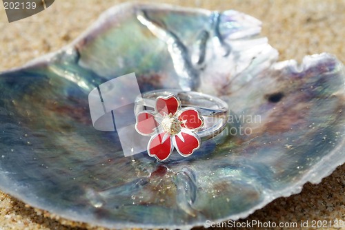 Image of Silver enamel ring