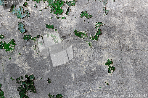 Image of concrete wall with remains of an old green paint