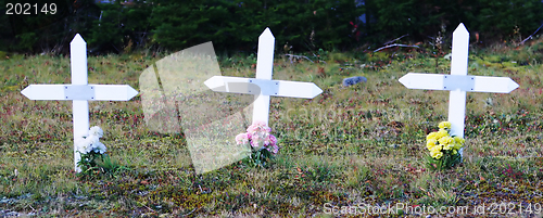 Image of Crosses in a graveyard