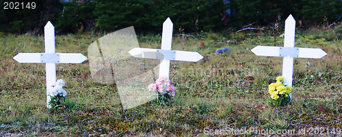 Image of Crosses in a graveyard