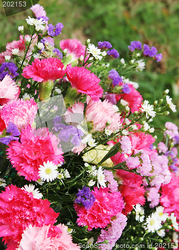 Image of Beautiful bouquet of flowers