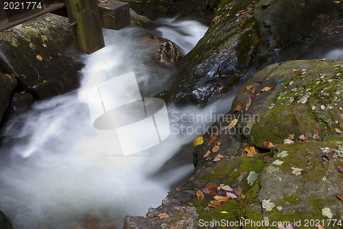 Image of Forest waterfall in Helen Georgia