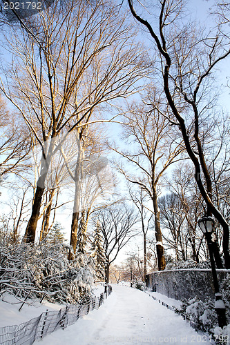 Image of Central Park, New York. Beautiful park in beautiful city. 