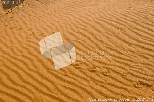 Image of Sands of time.