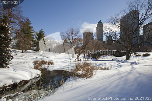 Image of Central Park, New York. Beautiful park in beautiful city. 