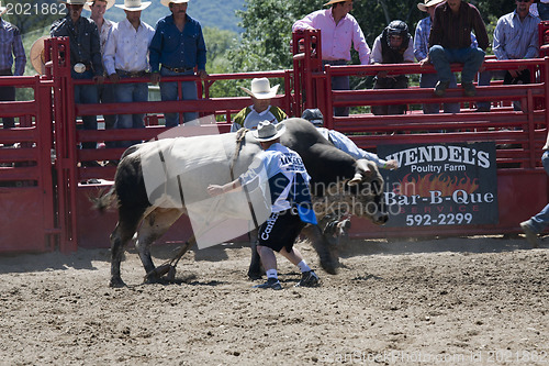 Image of Rodeo