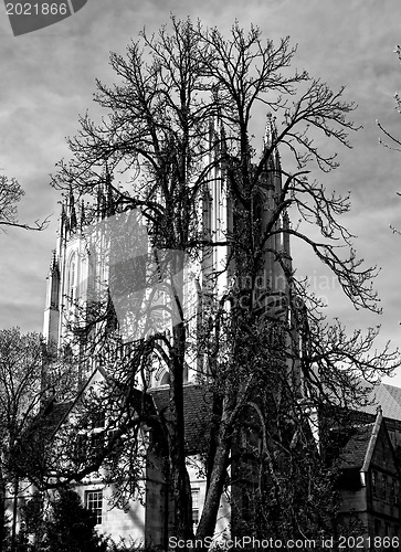 Image of Washington national cathedral