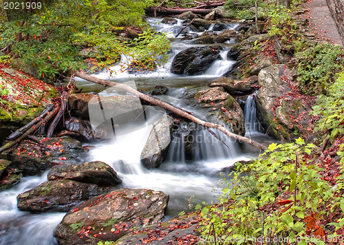 Image of Forest waterfall in Helen Georgia