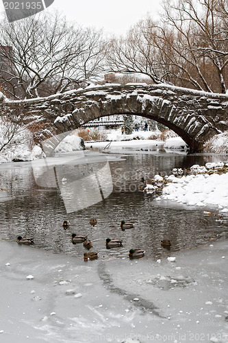 Image of Centtral Park. Gapstow Bridge