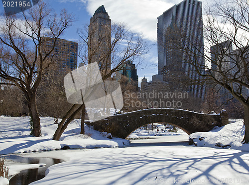 Image of Central Park, New York. Beautiful park in beautiful city. 