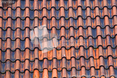 Image of Prague. Red roofs- Background