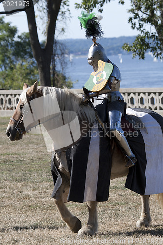 Image of Medieval Knight 