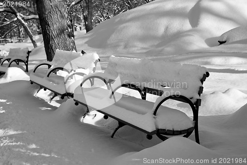 Image of Central Park, New York. Beautiful park in beautiful city. 