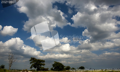 Image of Clouds in the blue sky 