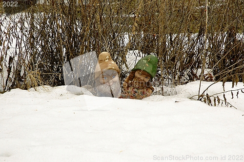 Image of Frozen Gnomes