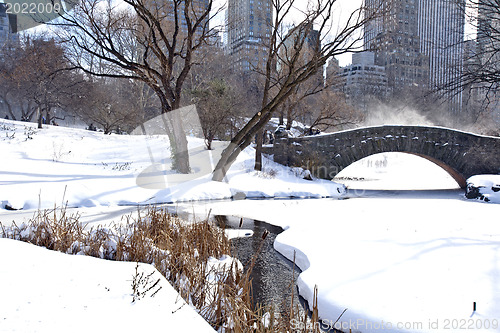 Image of Central Park, New York. Beautiful park in beautiful city. 