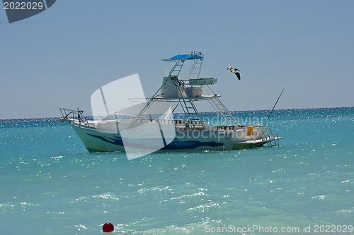 Image of Pelican flying over yacht boat