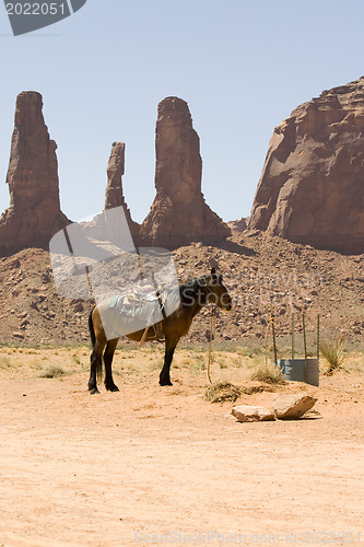 Image of Horse. Monument Valley 