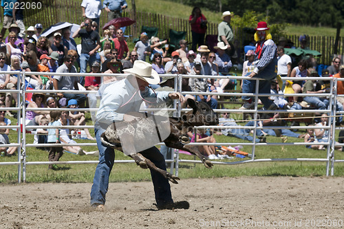 Image of Rodeo