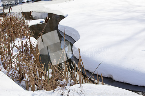 Image of Stream in winter park