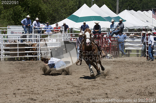 Image of Rodeo