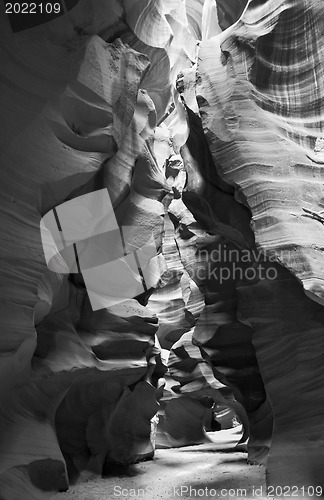 Image of Scenic canyon Antelope