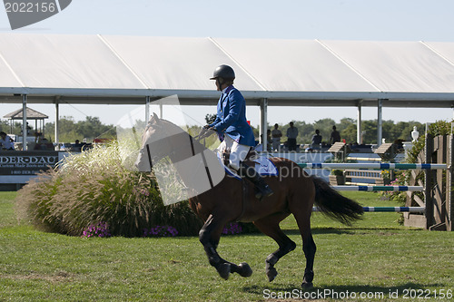 Image of show jumping 