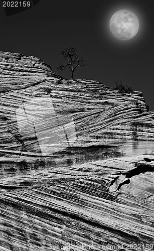 Image of Zion National Park