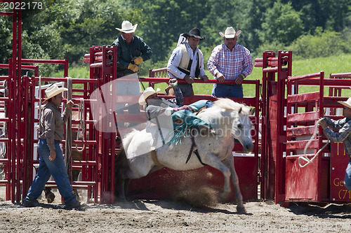 Image of Rodeo