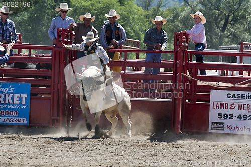 Image of Rodeo