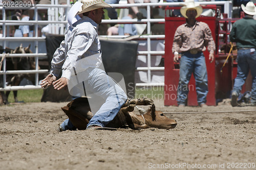 Image of Rodeo