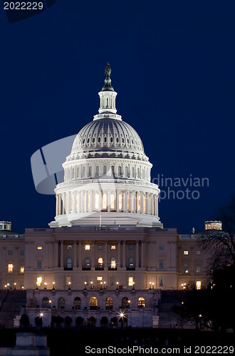 Image of The United States Capitol at night 