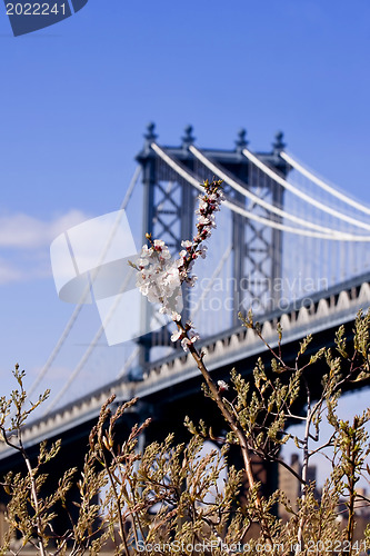 Image of Manhattan Bridge. New York 