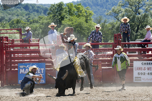 Image of Rodeo