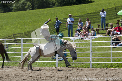 Image of Rodeo