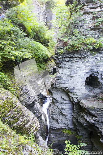 Image of Finger lakes region waterfall in the summer