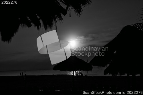 Image of Night on a beach