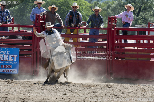 Image of Rodeo