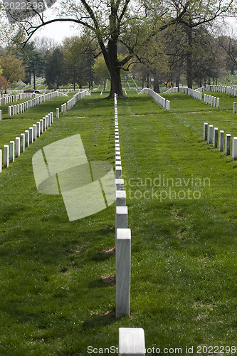 Image of Arlington National Cemetary