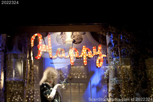 Image of Holiday Window Cases